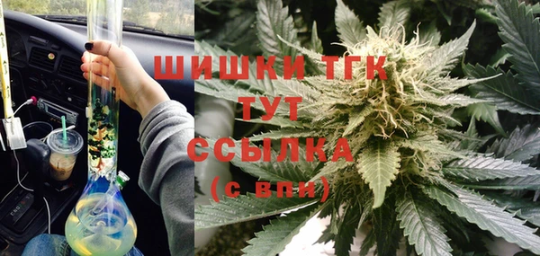 прущие крисы Новозыбков
