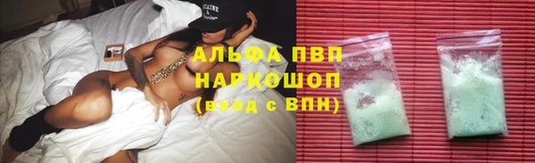 прущие крисы Новозыбков