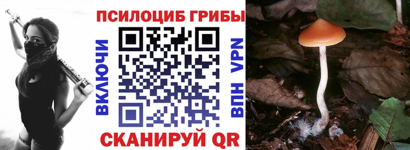 цена наркотик  Красный Кут  Галлюциногенные грибы мухоморы 
